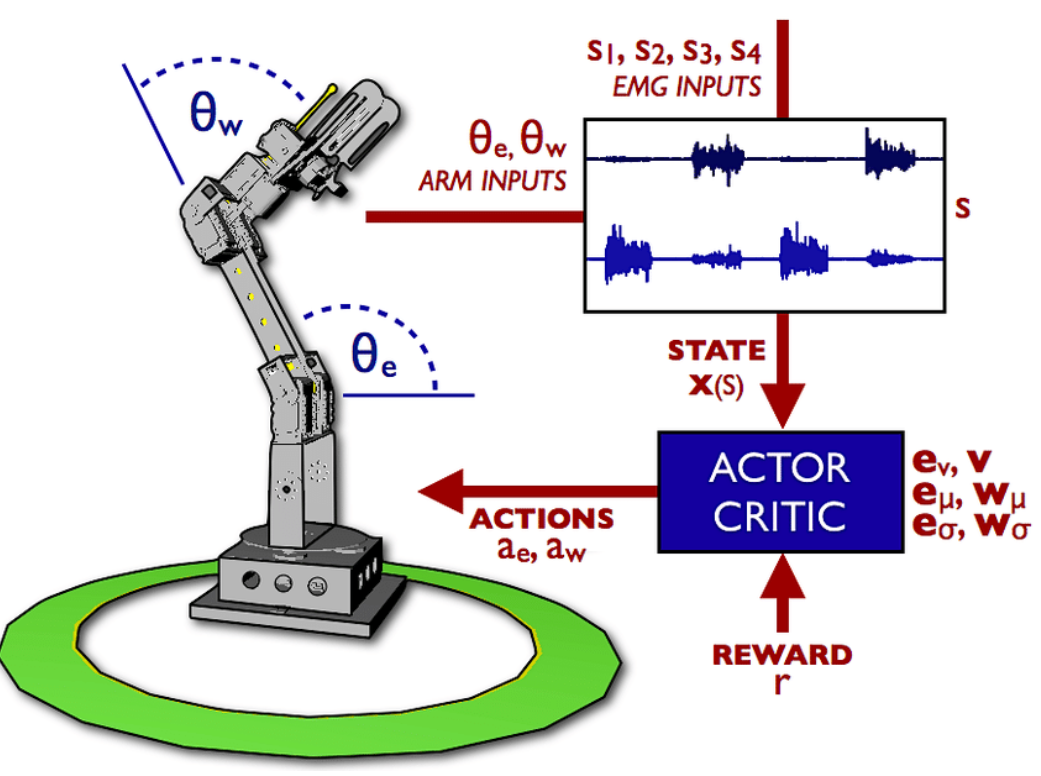 Solving Continuous Control using Deep Reinforcement Learning (Policy ...