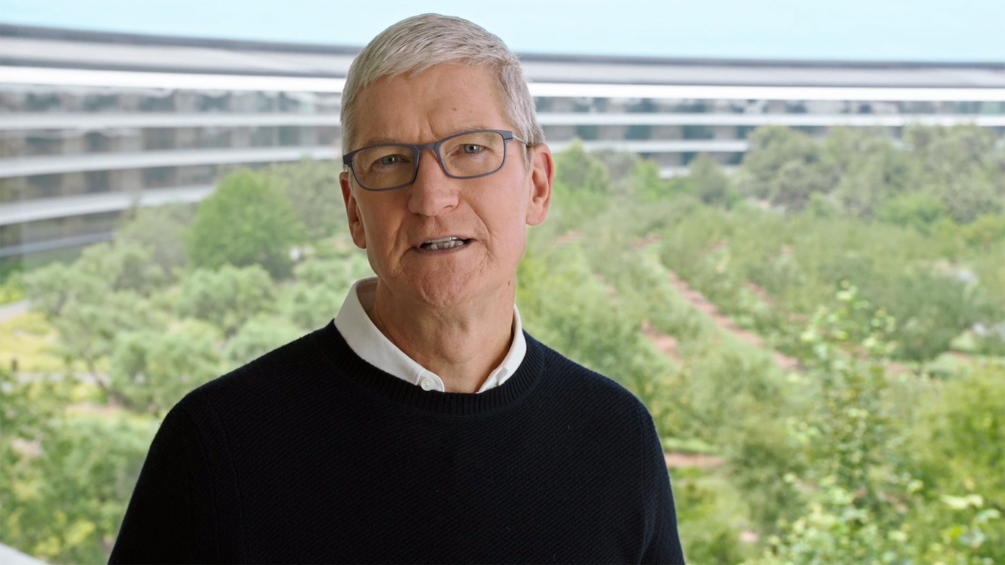 Tim Cook