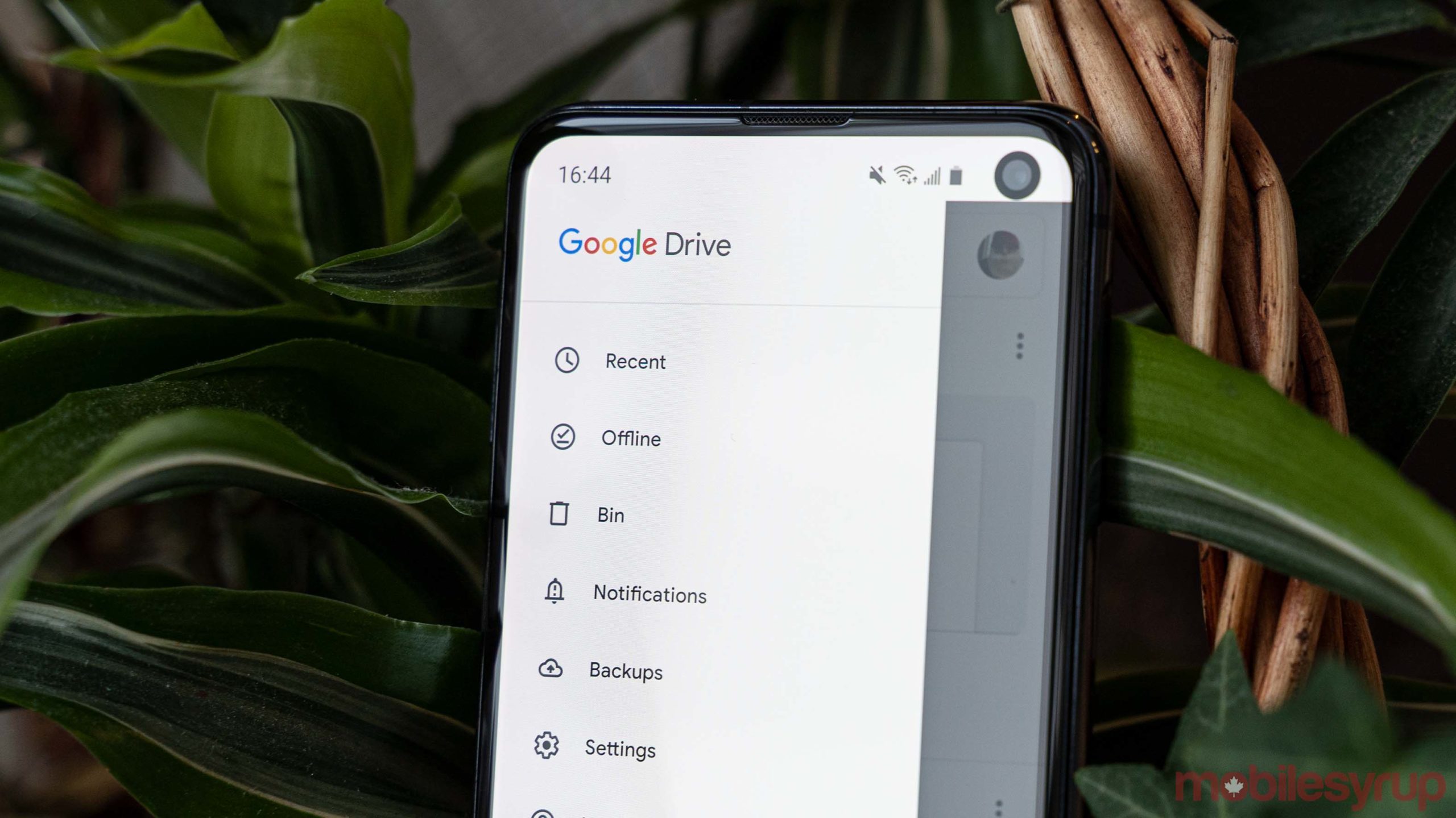 google drive for desktop m1