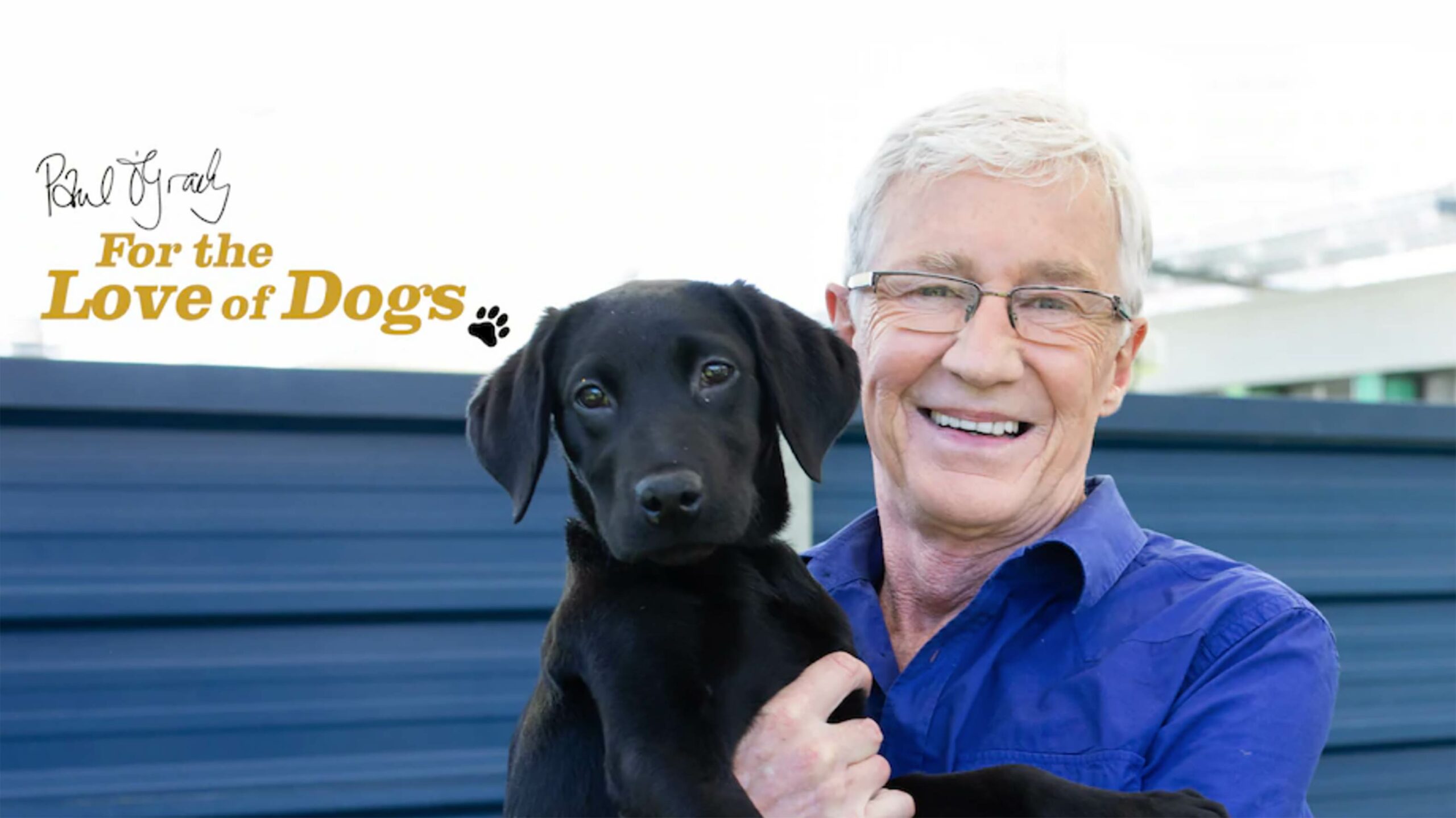 Paul O'Grady dogs