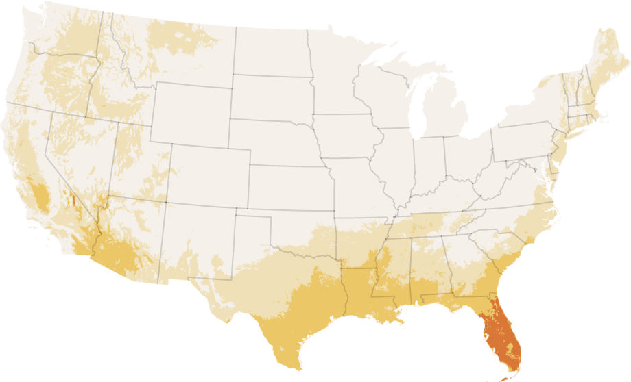 What heat transfer causes hurricanes?